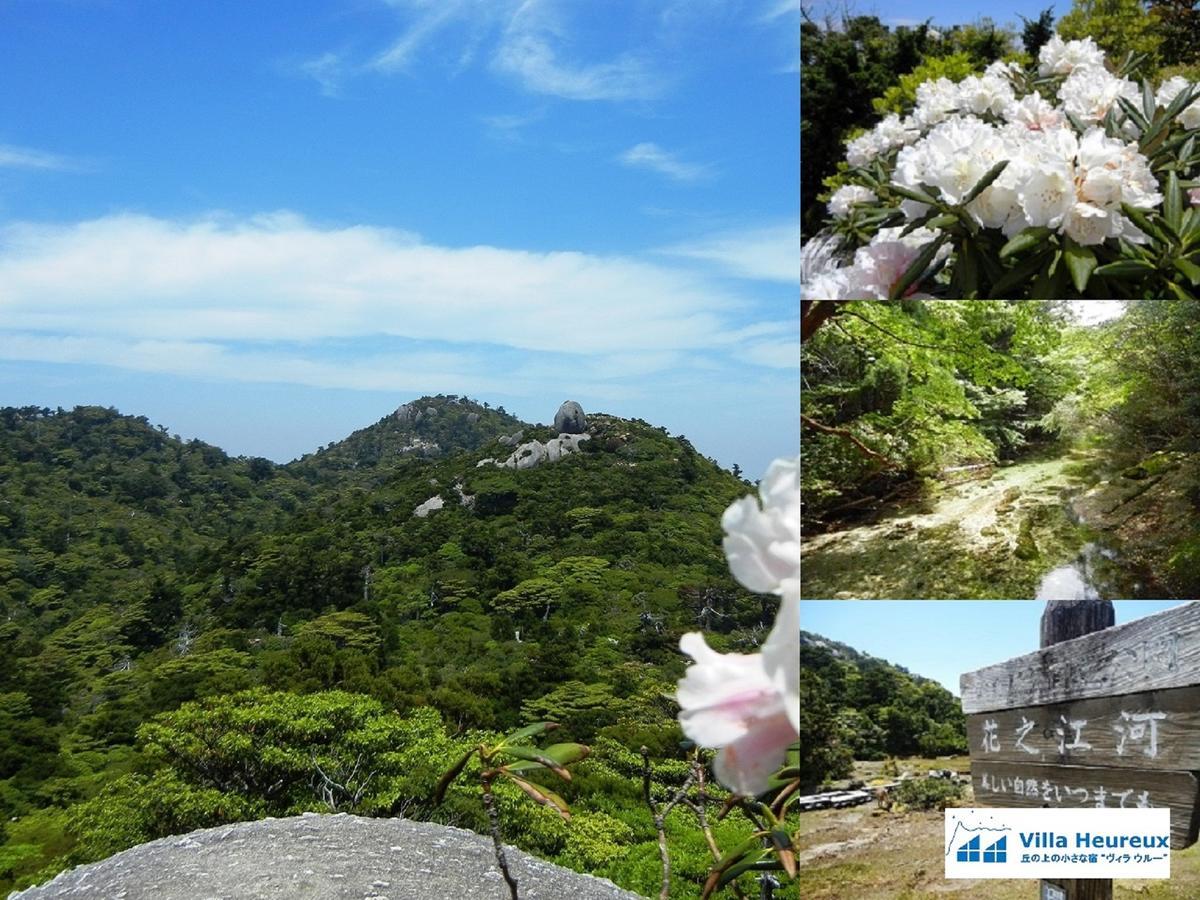 Villa Heureux Yakushima  Ngoại thất bức ảnh